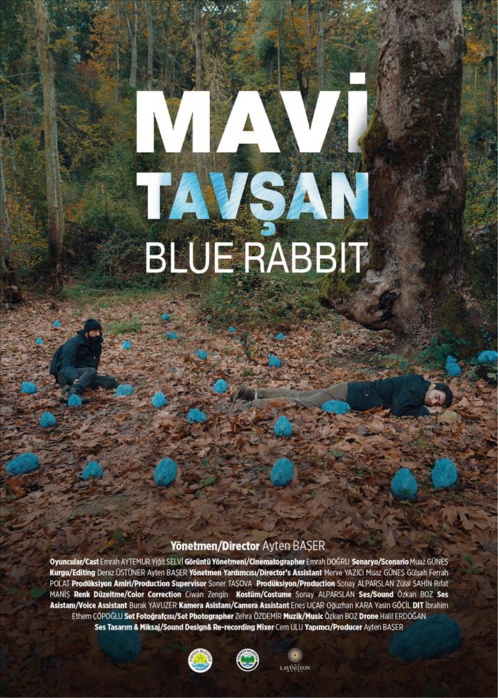 “Mavi Tavşan” Finalde!