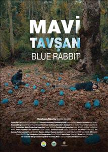 “Mavi Tavşan” Finalde!